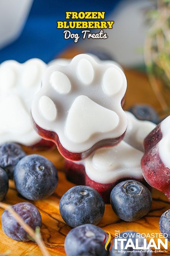 Frozen Blueberry Dog Treats