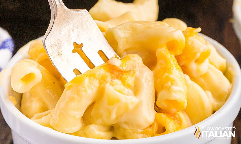 fork in bowl of pasta with creamy sauce