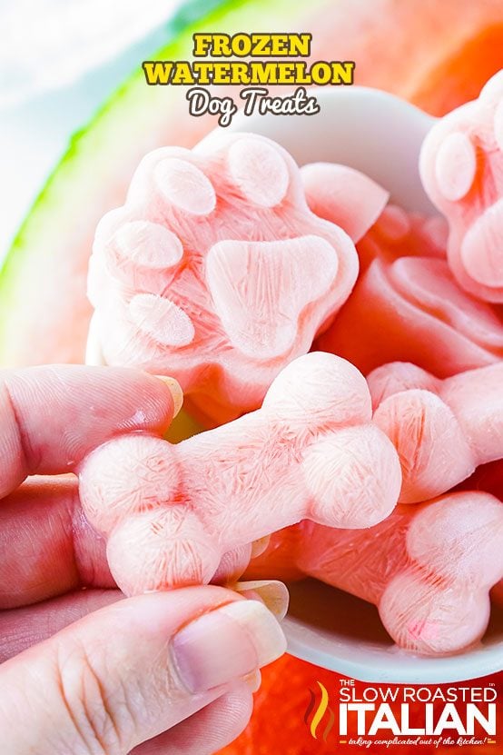 Frozen Watermelon Dog Treats