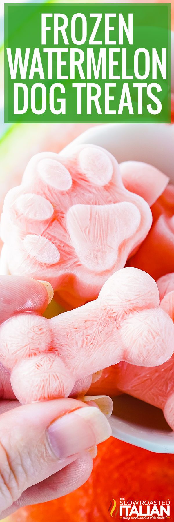 Watermelon Dog Treat Popsicles - Barefeet in the Kitchen