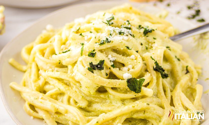 noodles in creamy white and green sauce, close up