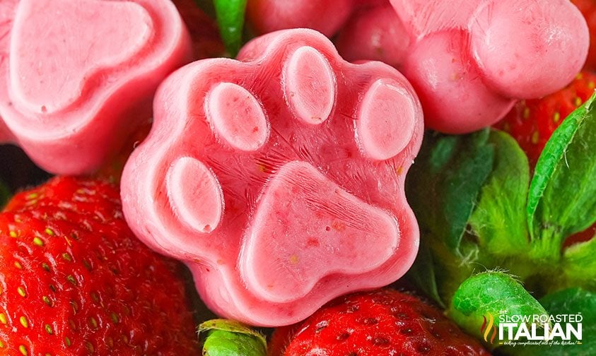 frozen strawberry dog treats, close up