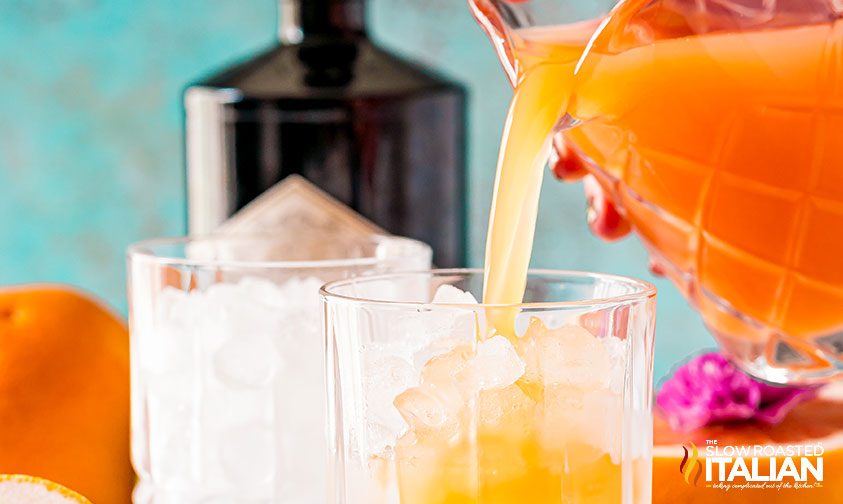 making greyhound cocktail with orange juice and gin