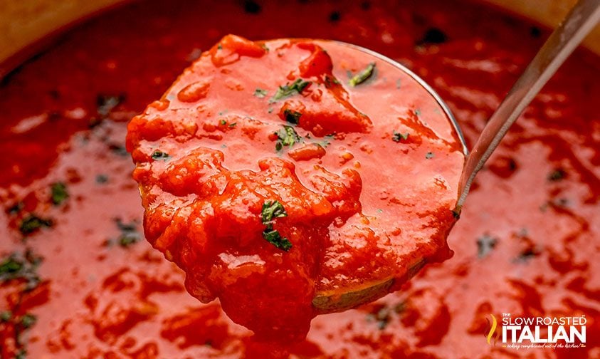ladle of marinara sauce, close up