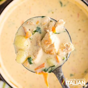 ladle of Olive Garden chicken gnocchi soup