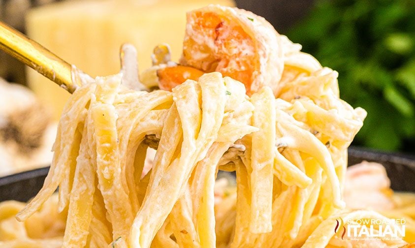 Olive Garden shrimp with pasta, close up