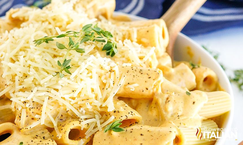 noodles with creamy sauce and cheese, close up