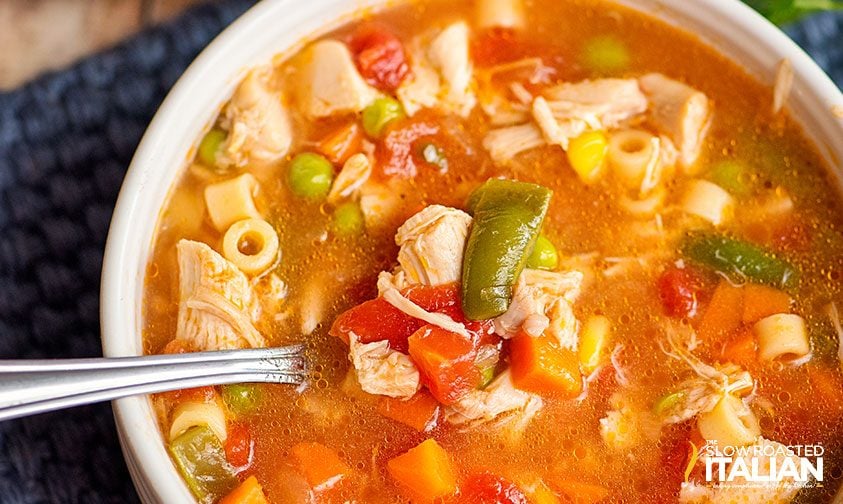 serving of chicken vegetable soup recipe