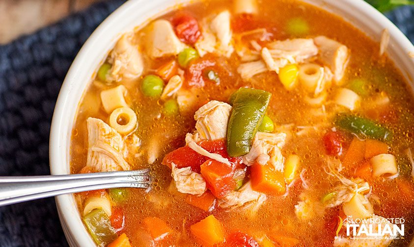 serving of chicken vegetable soup recipe