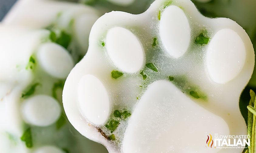 frozen dog treats in a stack