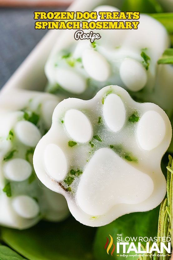 Frozen Dog Treats (Spinach Rosemary)