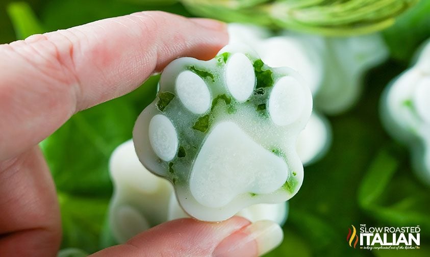 frozen spinach shaped like a dog paw