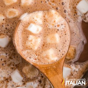 spoonful of hot chocolate with marshmallows