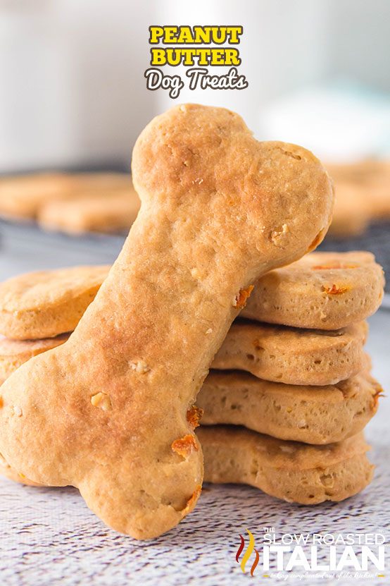 peanut butter dog treats in stack