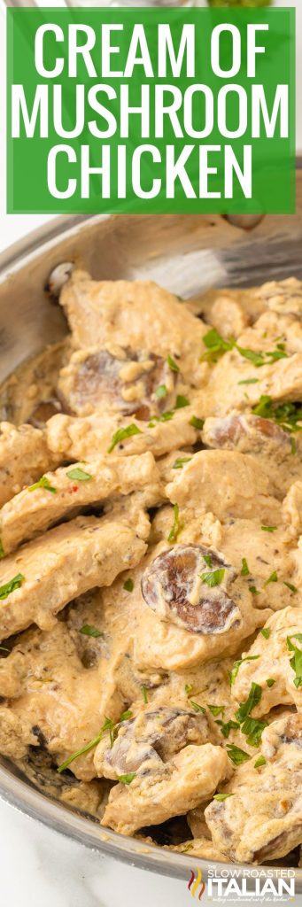 Creamy Mushroom Chicken Recipe - The Slow Roasted Italian