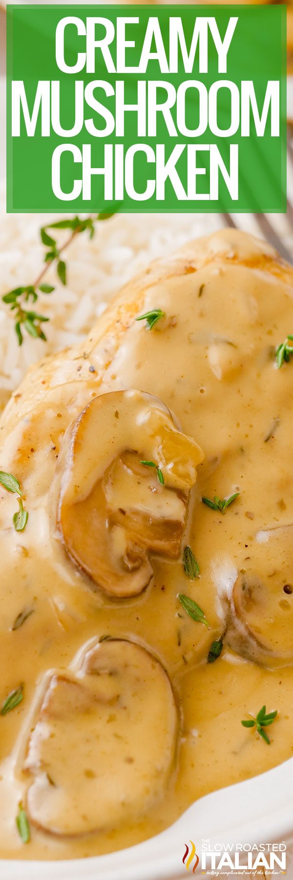 titled image (and shown): creamy mushroom chicken