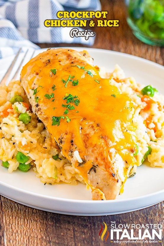 crockpot chicken and rice on a plate