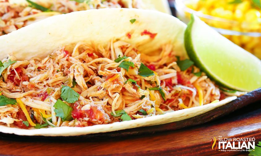 salsa chicken in flour tortillas