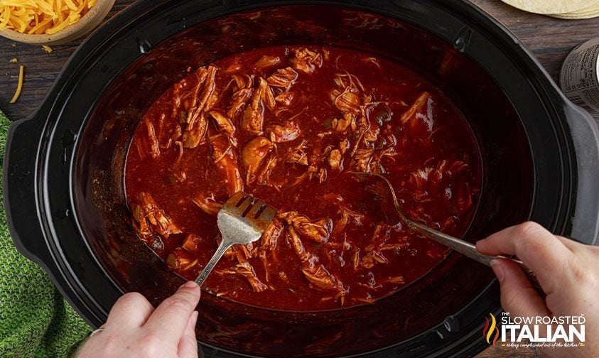 using two forks to shred chicken in slow cooker