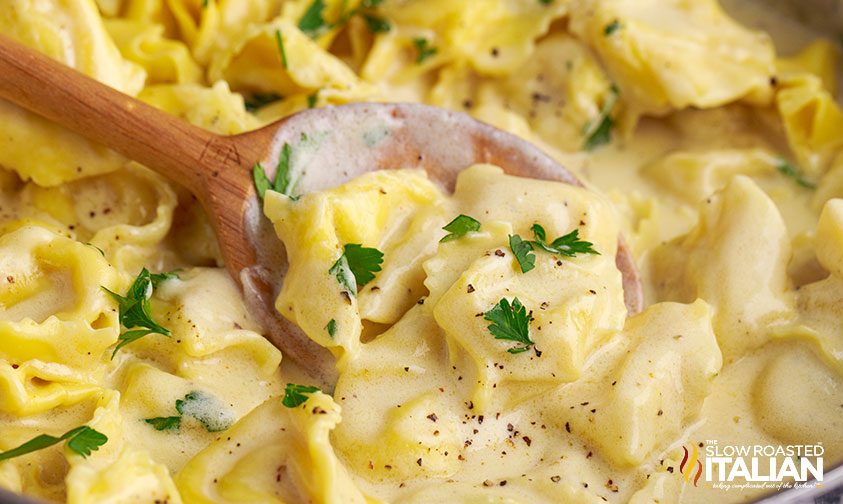 close up of tortellini alfredo