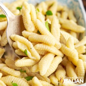 homemade shell pasta on spoon