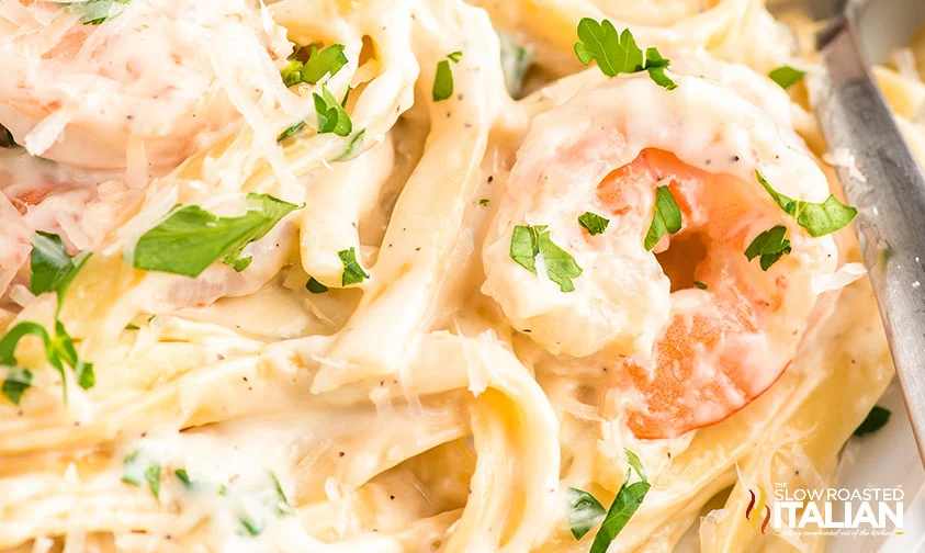 shrimp and pasta, close up