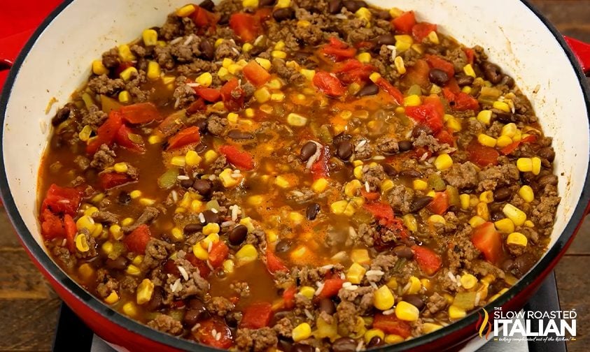 https://www.theslowroasteditalian.com/wp-content/uploads/2022/01/mexican-beef-and-rice-casserole.jpg