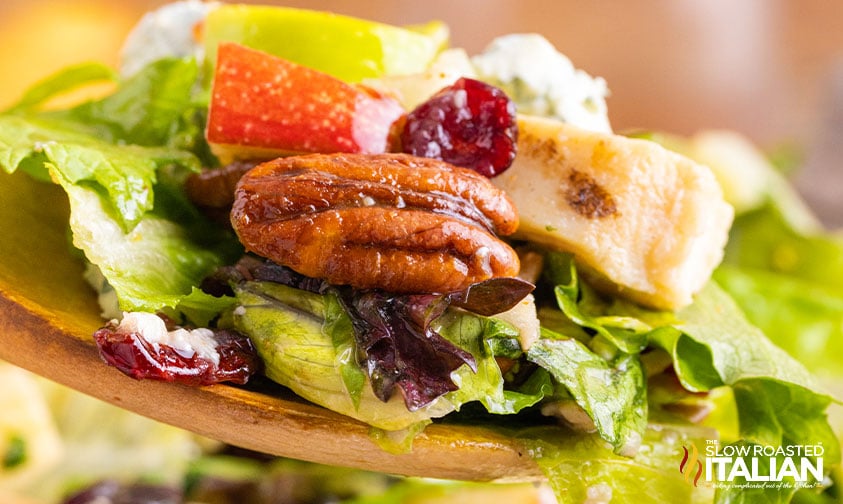 apple pecan salad closeup