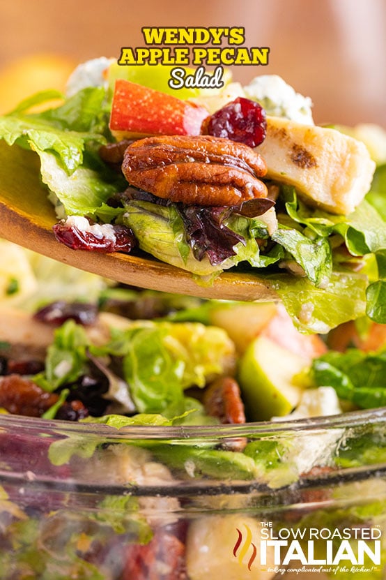 titled (shown in glass bowl): wendy's apple pecan salad