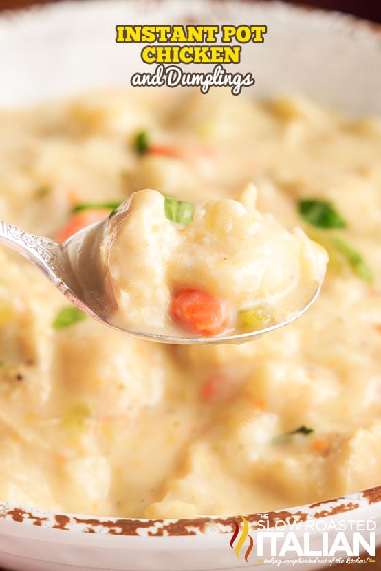 spoonful of instant pot chicken and dumplings