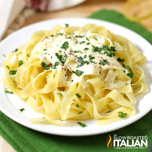 pile of pasta with white sauce sits on a plate