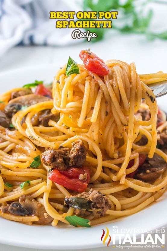 titled (shown twirled on fork) best one pot spaghetti recipe