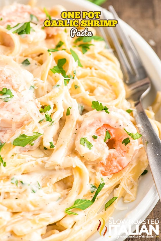 Easy Creamy Garlic Shrimp Pasta Parmesan Recipe