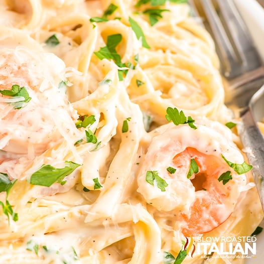 shrimp linguine close up