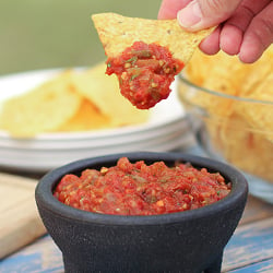 roasted tomato salsa on a chip