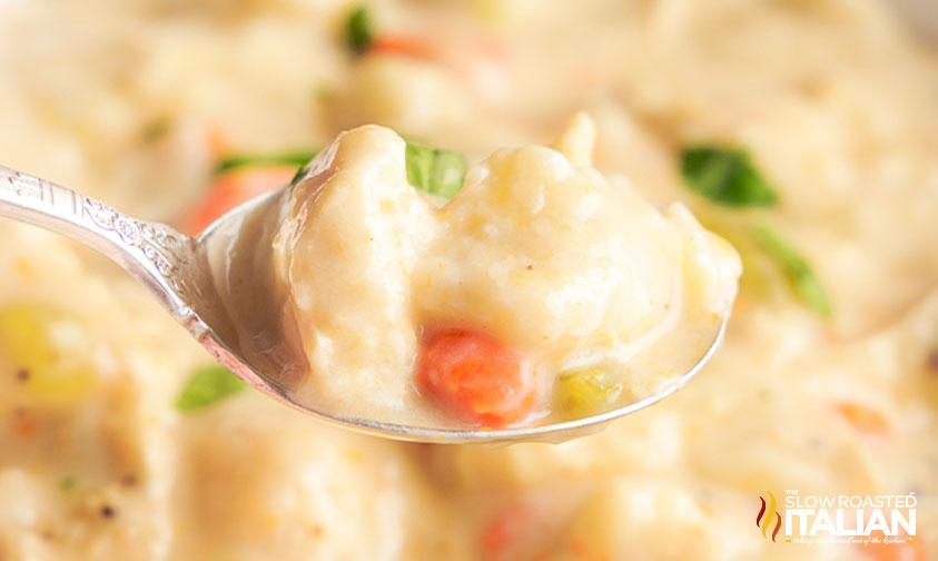 instant pot dumplings with gravy on spoon