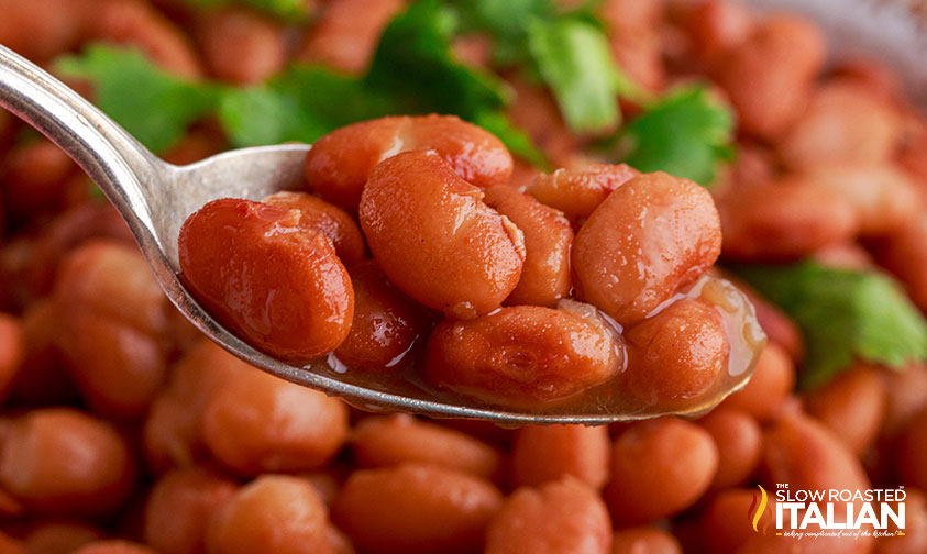 instant pot pinto beans on spoon, close up