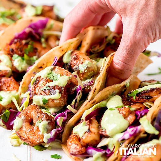 hand holding mexican shrimp in corn tortilla