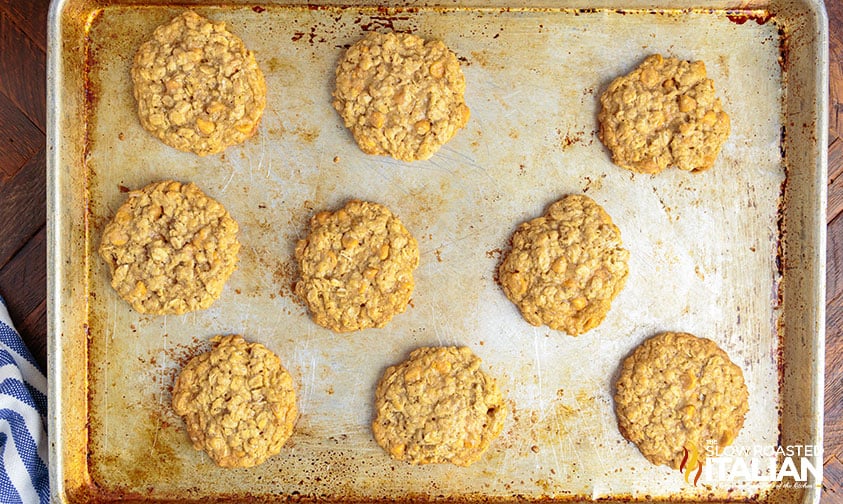 warm cookies with butterscotch chips on baking sheet