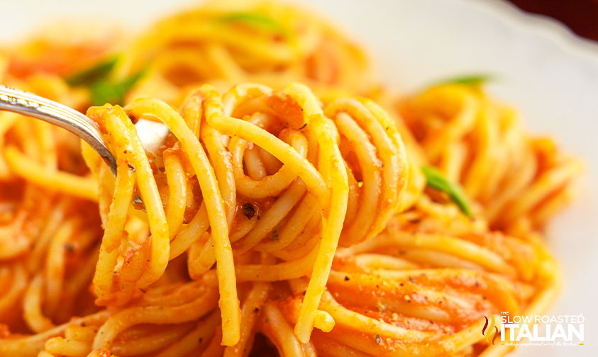 pomodoro sauce on pasta wound around a fork