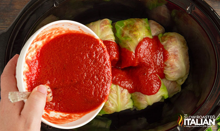 porous sauce on cabbage rolls