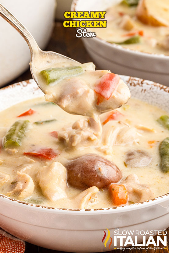 Creamy Chicken Stew