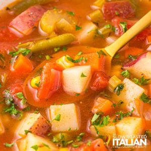 veggie soup closeup.