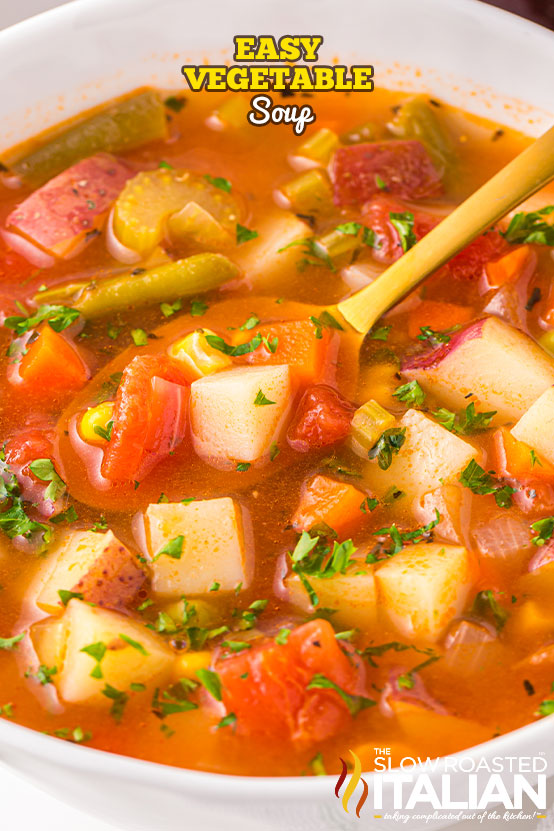 titled: Easy Vegetable Soup