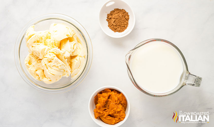 ingredients for pumpkin milkshake