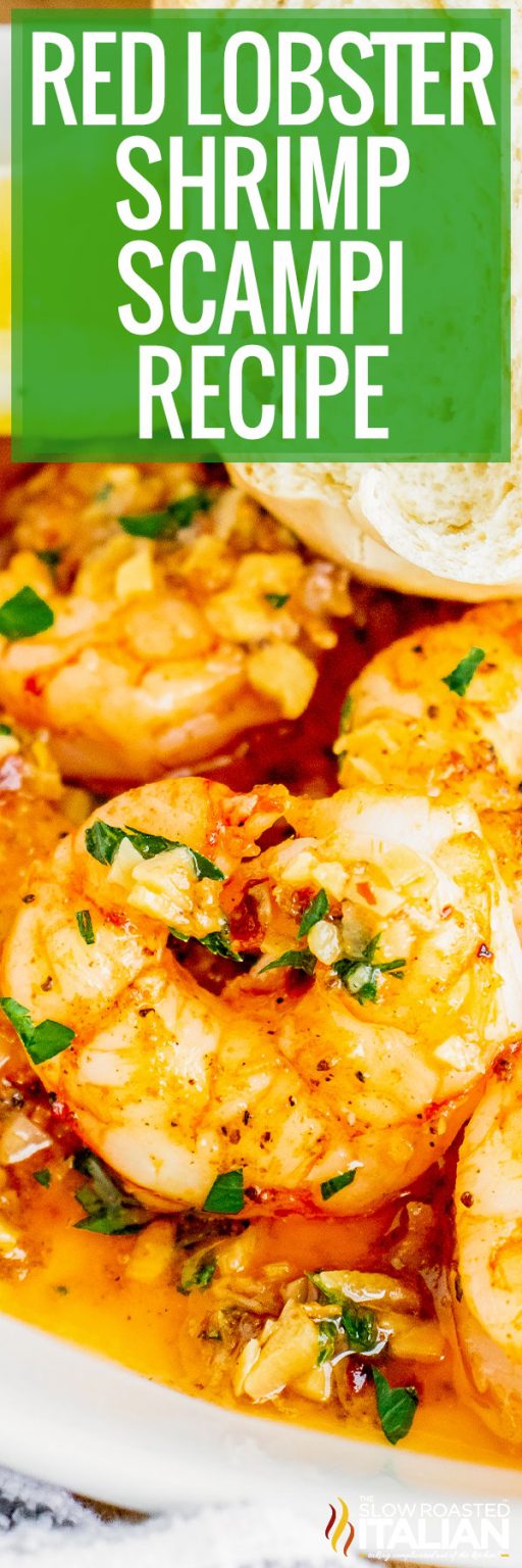 Red Lobster Shrimp Scampi Recipe - The Slow Roasted Italian