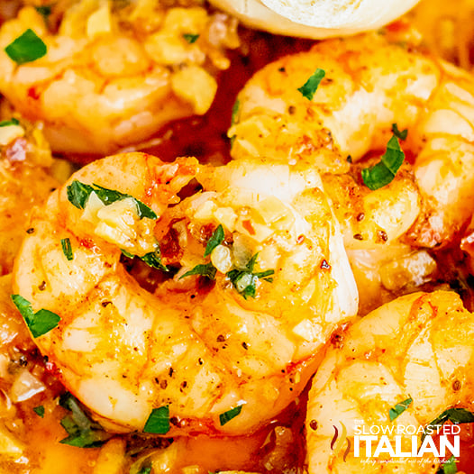 red lobster shrimp scampi closeup.