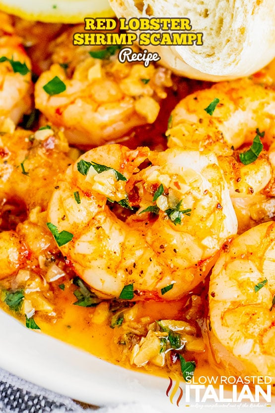 Red Lobster Shrimp Scampi Recipe