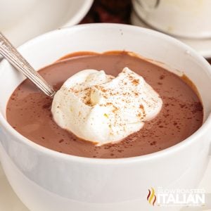 thick hot chocolate in mug with whipped cream