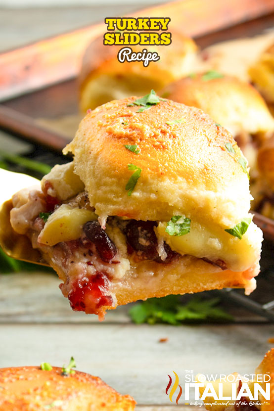 Turkey Sliders with Brie and Cranberry Sauce